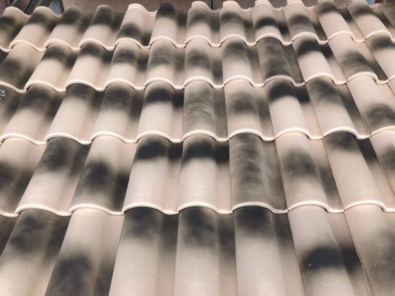 Mixed Flamed Paja Tile Image 3